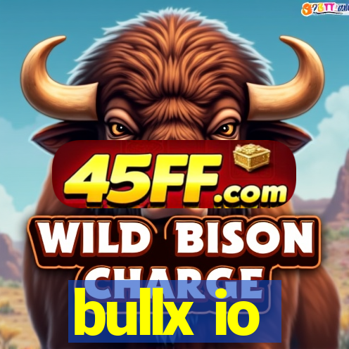 bullx io